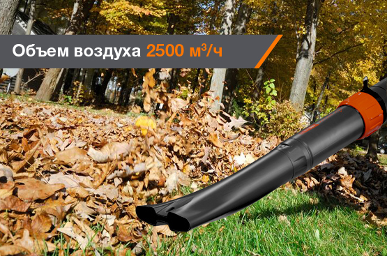 Воздуходувка ранцевая бензиновая DAEWOO&nbsp;DABL&nbsp;800 