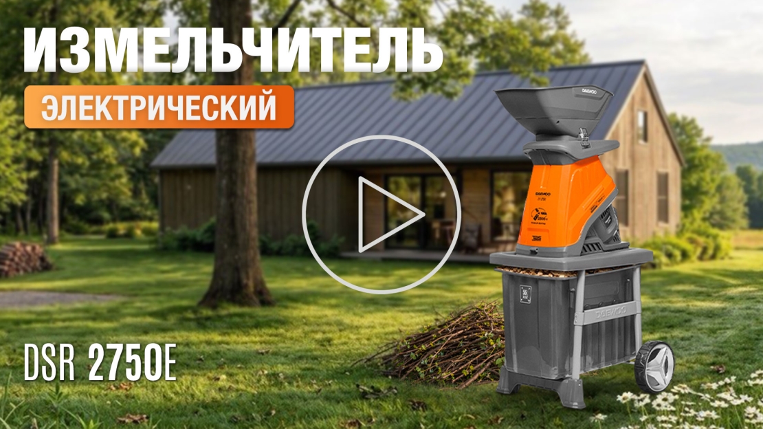 Измельчитель-электрический-DAEWOO-DSR-2750E-видео.jpg