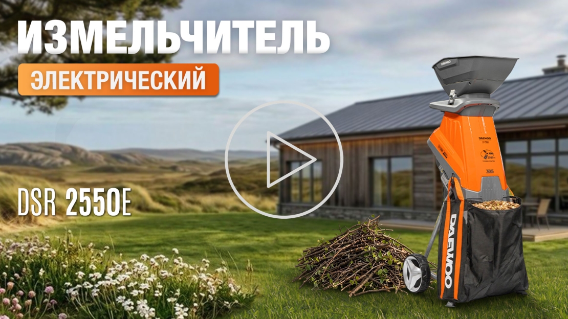 Измельчитель-электрический-DAEWOO-DSR-2550E-видео.jpg