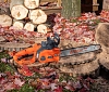 Пила цепная электрическая DAEWOO DACS 1900E 