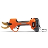 Секатор аккумуляторный DAEWOO&nbsp;DAGP&nbsp;3821Li SET