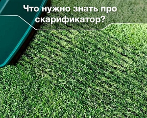 Все, что нужно знать про скарификатор
