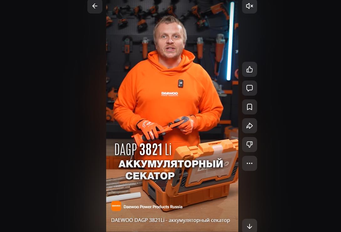DAEWOO DAGP 3821Li - аккумуляторный секатор