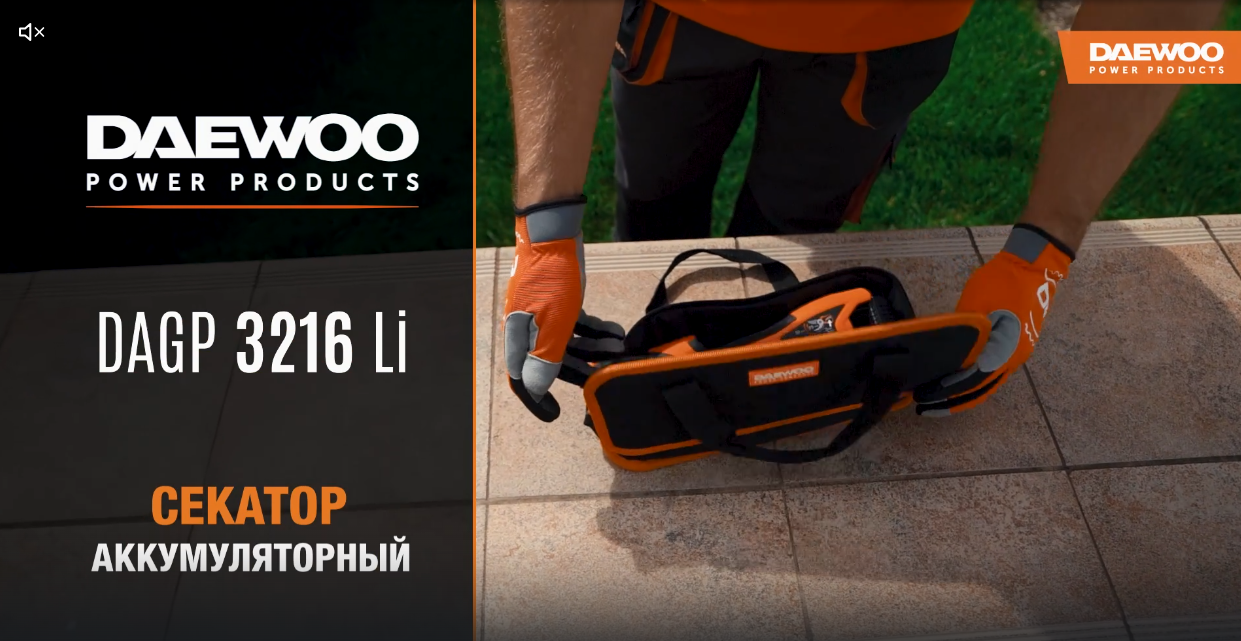 Секатор аккумуляторный DAEWOO DAGP 3216Li SET
