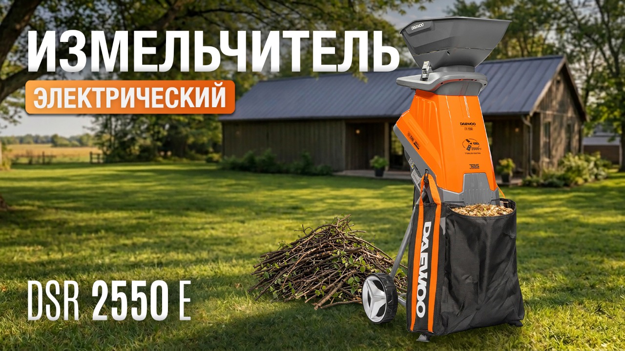 Измельчитель электрический DAEWOO DSR 2550E 