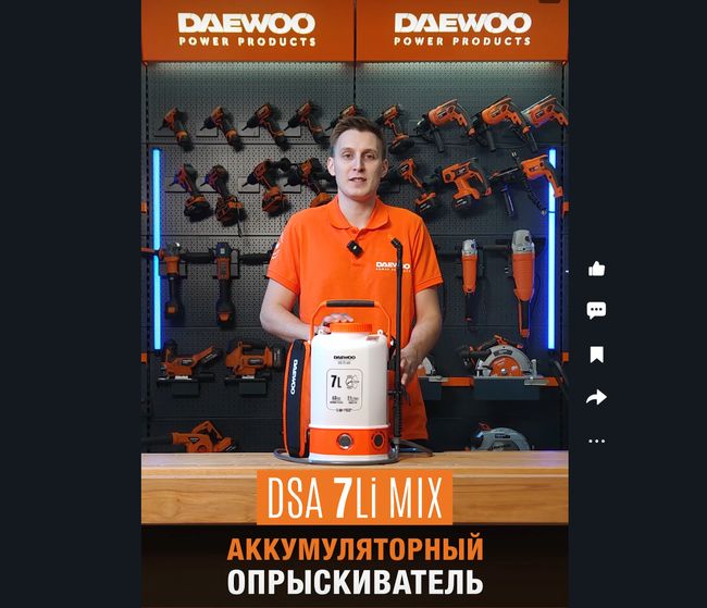 DSA 7Li MIX shorts