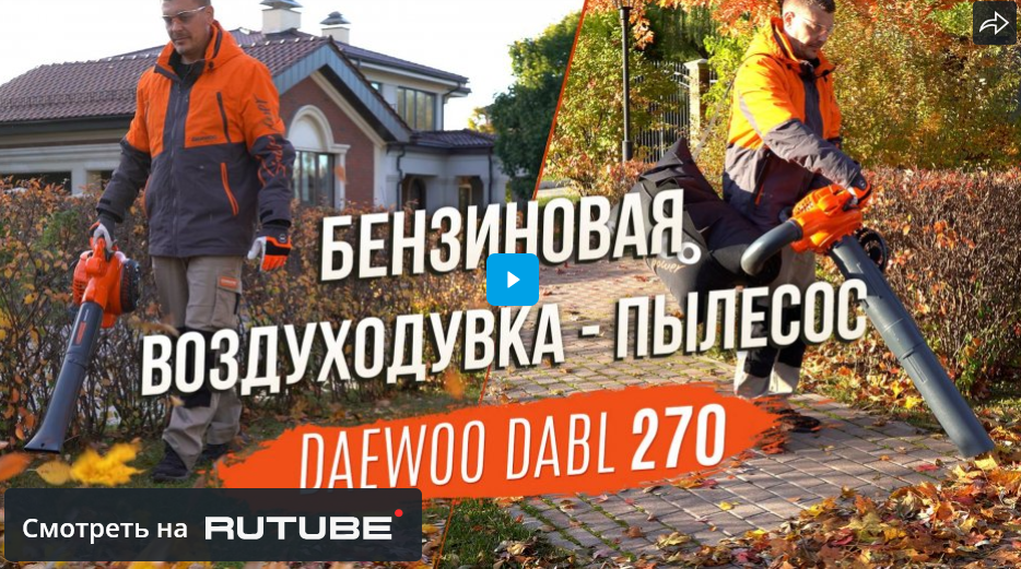 Бензиновая воздуходувка-пылесос DAEWOO DABL 270. Тестирование устройства 2в1 в осеннем саду