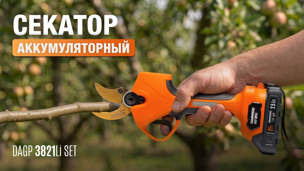 Обрезка сада без лишних усилий - с аккумуляторным секатором DAEWOO DAGP 3821Li SET!