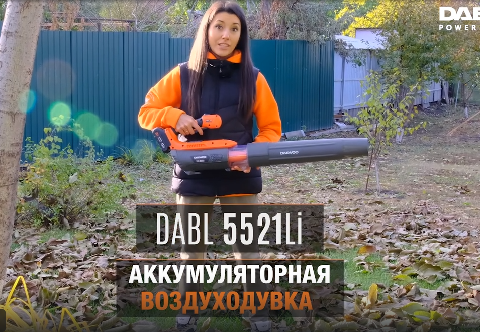 Аккумуляторная воздуходувка DAEWOO DABL 5521Li SET - отличный помощник для дачников и автомобилистов