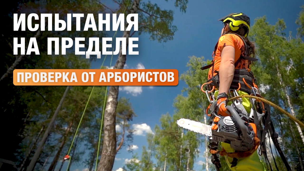 На грани возможностей: DAEWOO INDUSTRIAL в работе профессиональных арбористов.