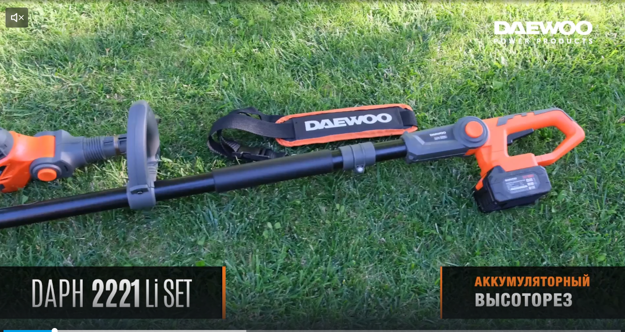 Высоторез аккумуляторный DAEWOO DAPH 2221Li SET