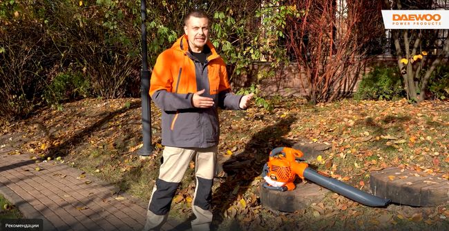Бензиновая воздуходувка-пылесос DAEWOO DABL 270. Тестирование устройства 2в1 в осеннем саду